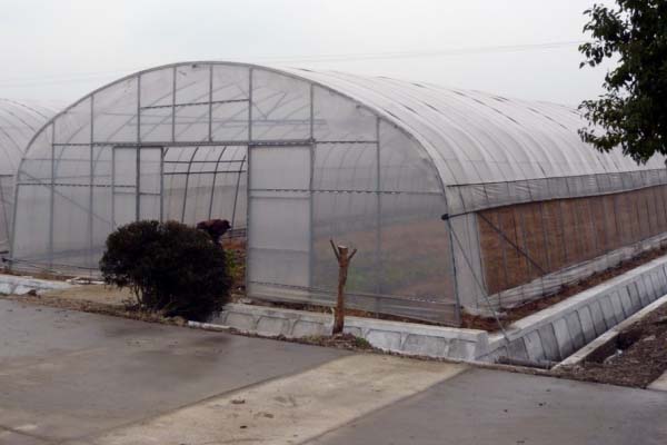 plastic greenhouse