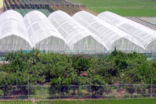 Proof Net for Greenhouse