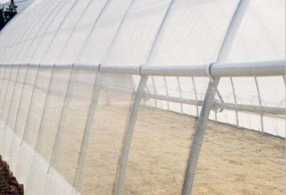 Insect Proof Net for Greenhouse