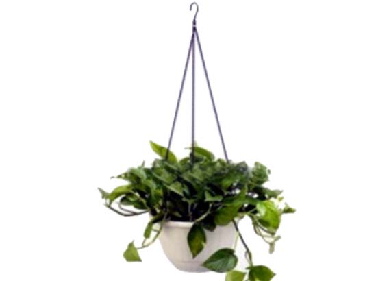 Hanging Plastic Flower Pot for Greenhouse