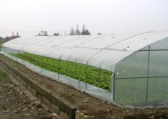 Ventilation for Greenhouse