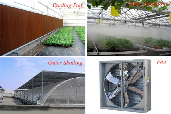Plastic Film Sawtooth Greenhouse For Equipment