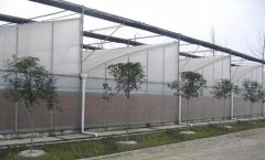 Sawtooth Greenhouse For Greenhouse-Bozong Greenhouse