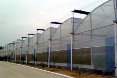 Plastic Film Covered Sawtooth Greenhouse for Sale