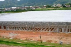 Film Covered Sawtooth Greenhouse for Vegetable