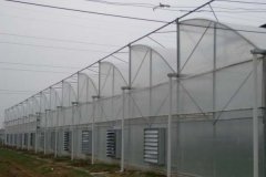 High Tunnel PC Covered Sawtooth Greenhouse for Sale