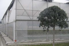 Film Covered Sawtooth Greenhouse for Hot Sale