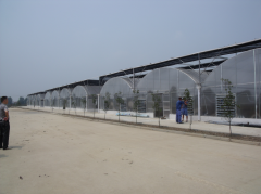 The DongSheng farm seedling base half PC board greenhouse