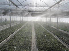 Greenhouse Humidity R