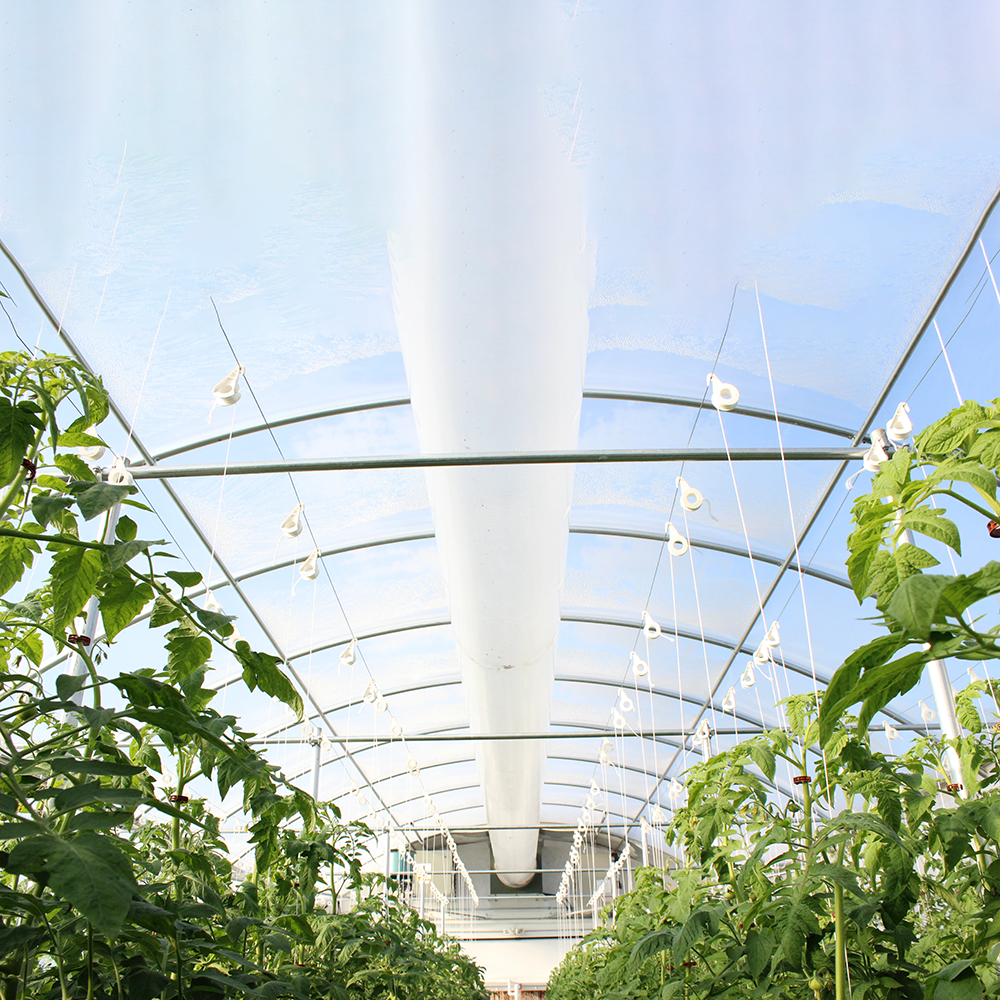 Clear Plastic for Greenhouse - UV Protected & Long-Lasting
