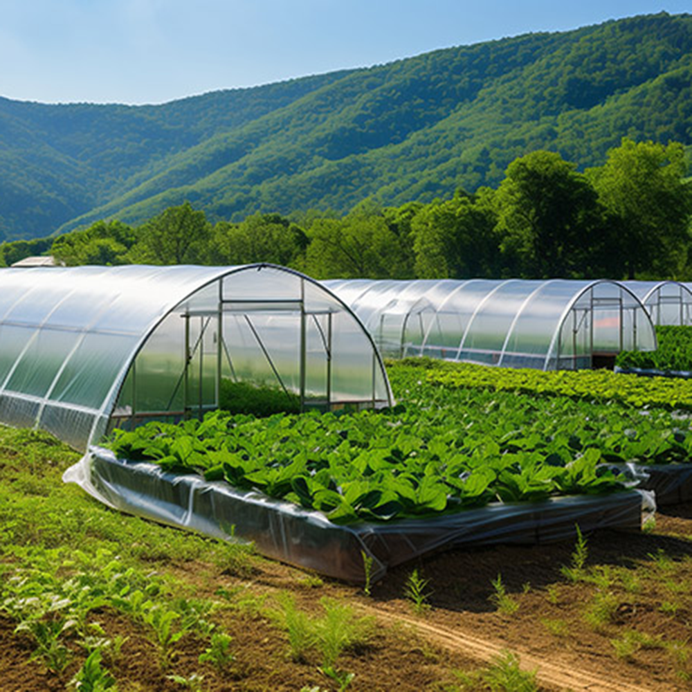<font color='#D1DDAA'>Greenhouse Plastic Sheeting - 6 Mil, UV-Resistant & Flexible</font>
