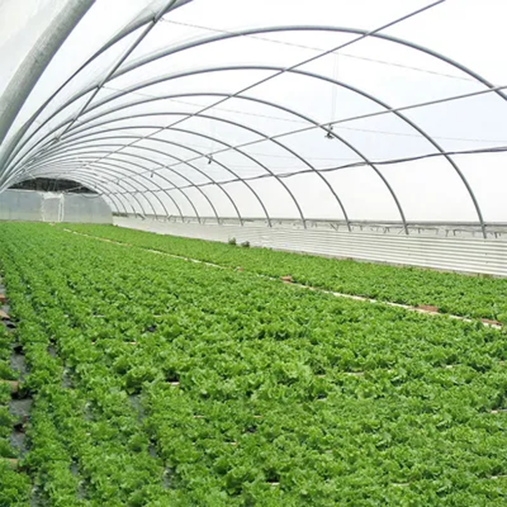<font color='#D1DDAA'>Heavy Duty Greenhouse Plastic - 8 Mil Reinforced Cover</font>